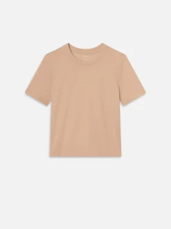 Baby Tee in Blush