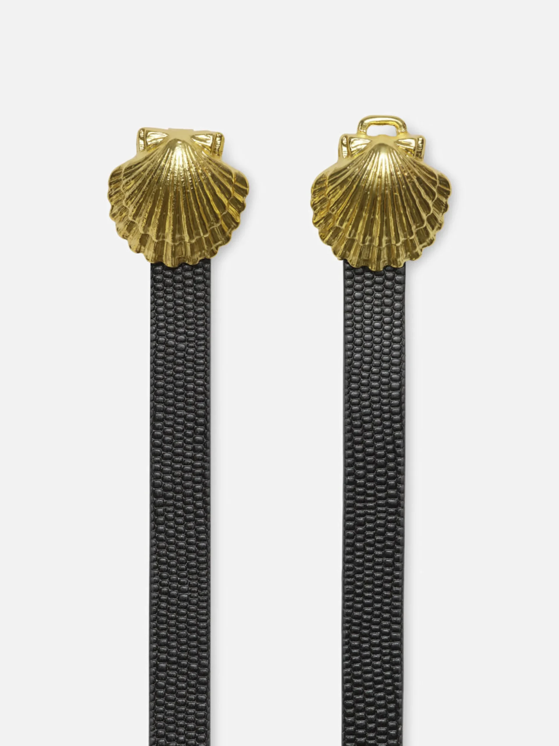 Coquillage Belt in Black