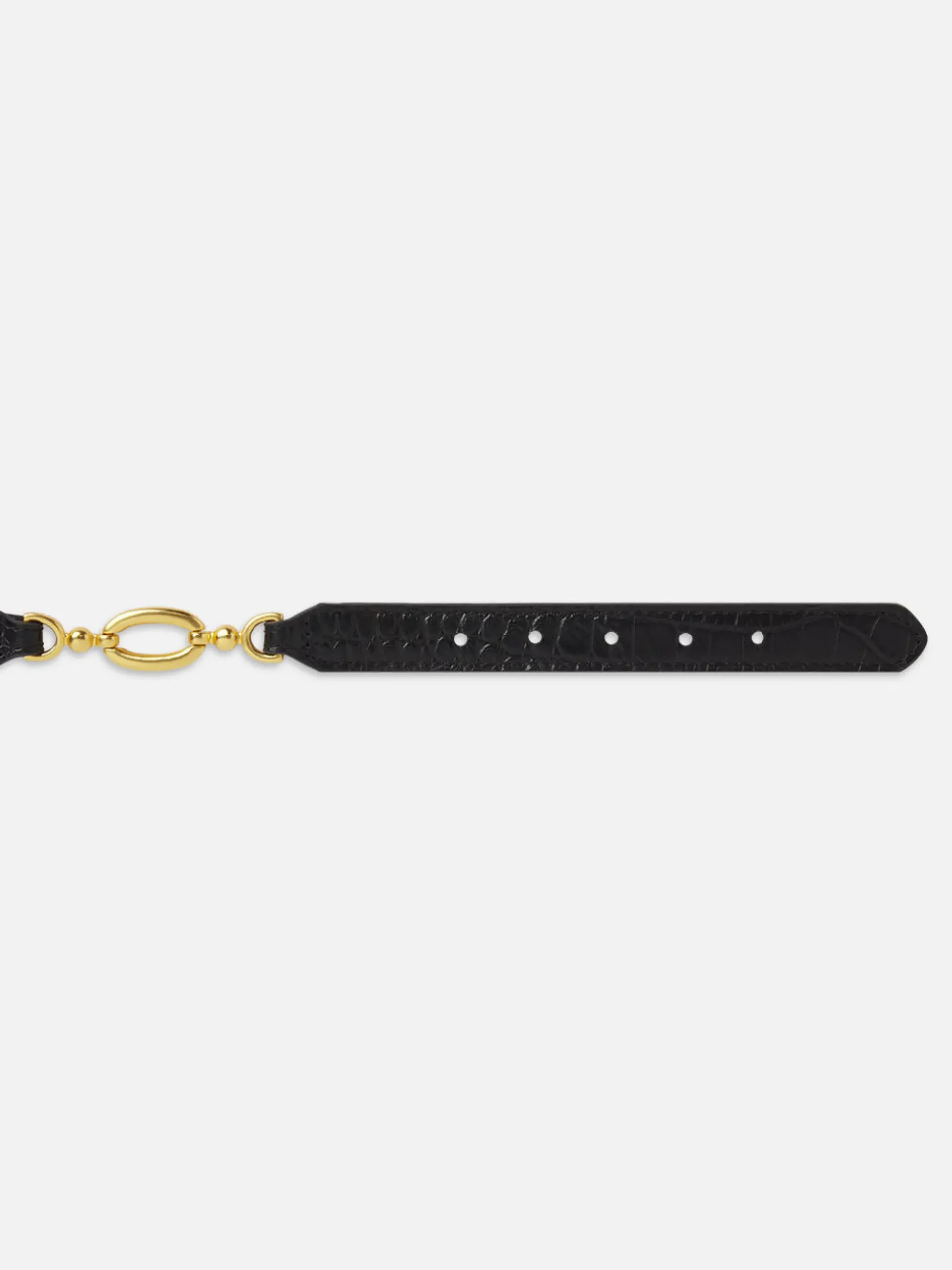 Jewelry Detail Belt in Black Croc